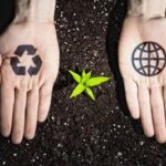 Sustainable subscriptions: How to improve your business to be more green